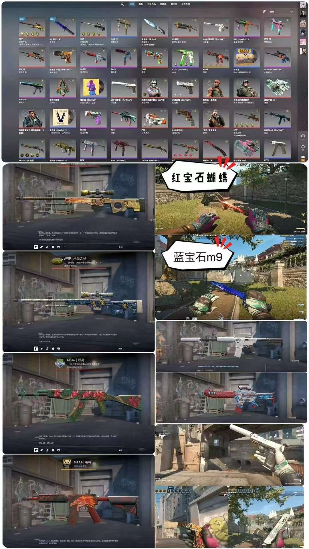 picture loss